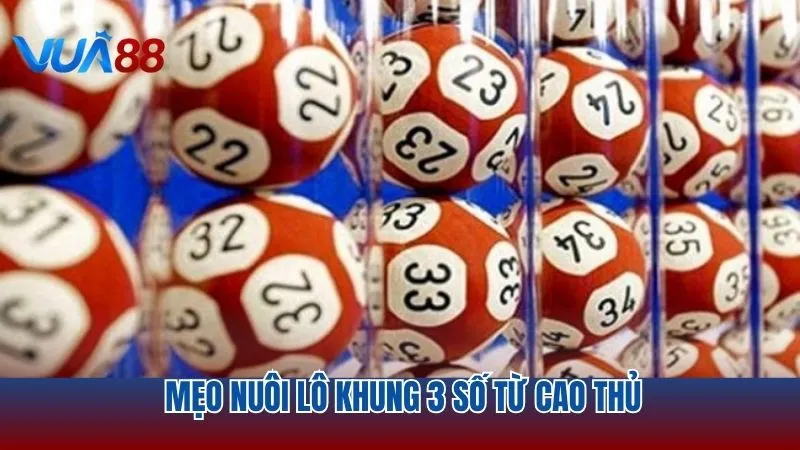 Bí quyết nuôi lô thành công từ kinh nghiệm của cao thủ tại Vua88