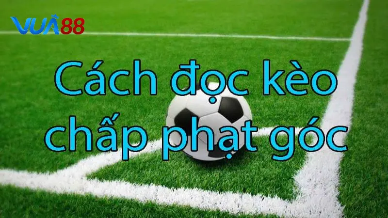 Cách đọc kèo chấp phạt góc trong bóng đá cho tân thủ Vua88