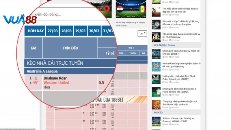 Học hỏi mẹo chơi kèo cược rung từ cao thủ Vua88