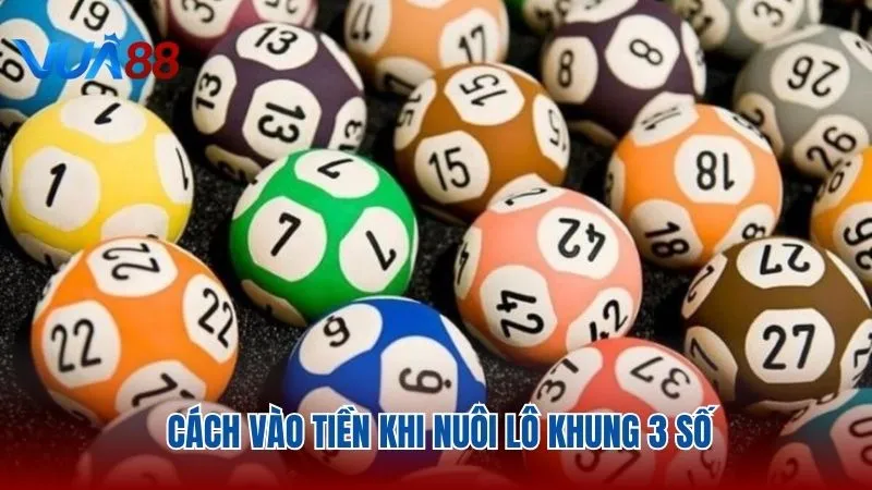 Hướng dẫn vào tiền hợp lý khi chơi lô đề khung 3 số Vua88
