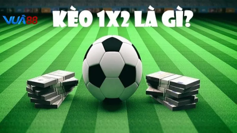 Kèo châu Âu khá thông dụng tại Vua88 nền tảng cá cược