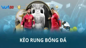 Kèo Rung Bóng Đá Là Gì? Cách Soi Chuẩn Của Cao Thủ Vua88
