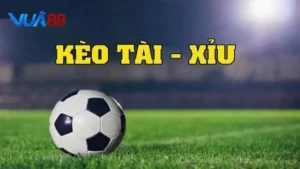 Cách Đọc Kèo Bóng Đá Tài Xỉu: Hướng Dẫn Chi Tiết Cho Người Mới Tại Vua88