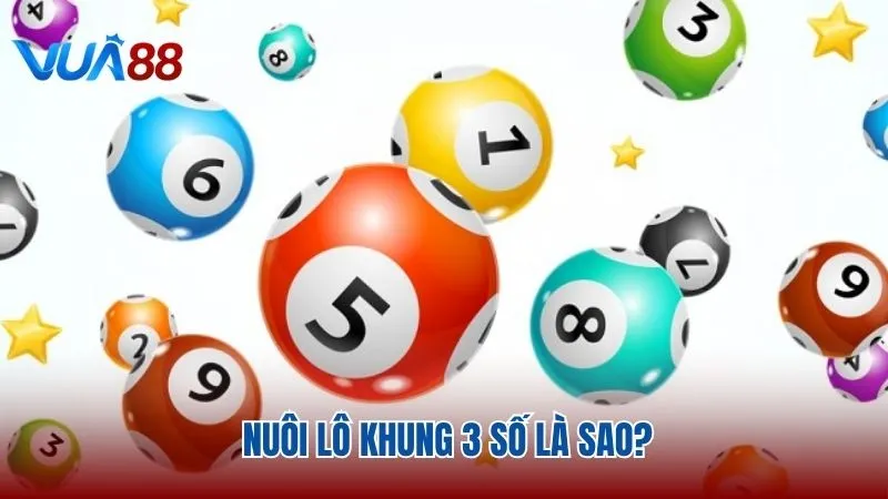 Lô khung 3 số là bí quyết tăng cơ hội thắng trong lô đề Vua88