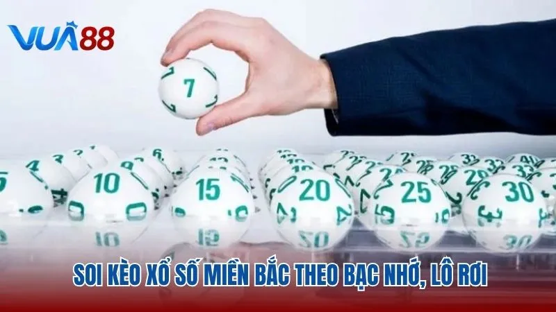 Soi kèo xổ số miền Bắc theo bạc nhớ, lô rơi khá hiệu quả Vua88